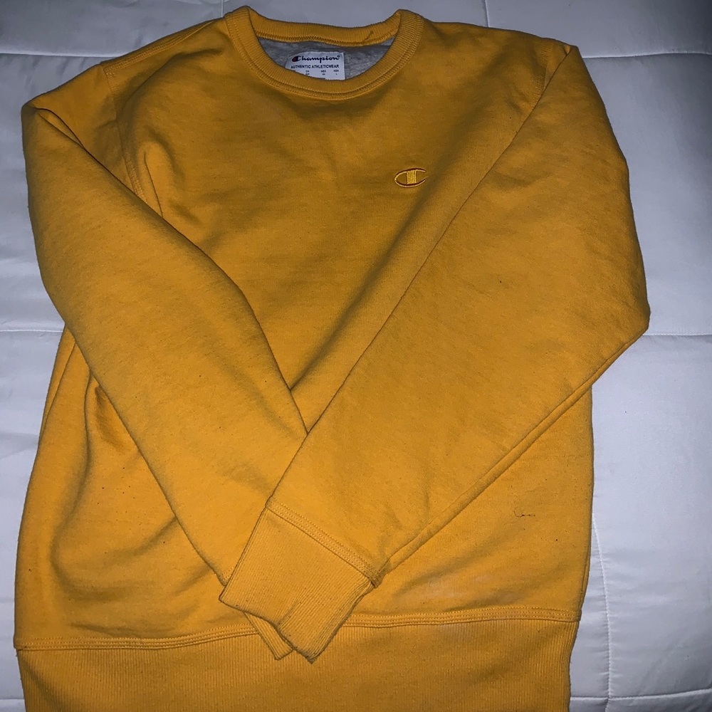 Champion sweater